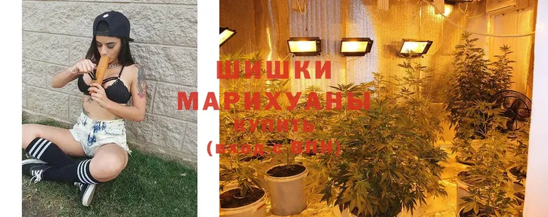 Марихуана Bruce Banner  Нытва 